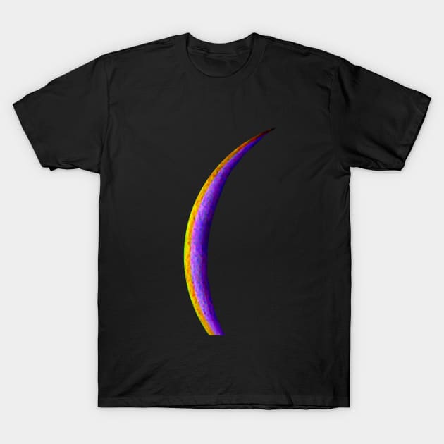 Colorful Crescent Moon T-Shirt by funhousejen